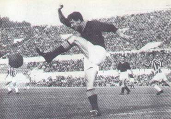cardarelli