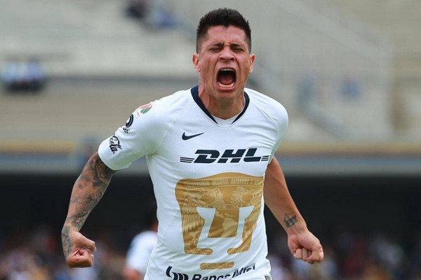 iturbe-pumas